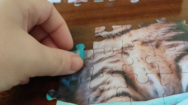 Собираю пазлы.