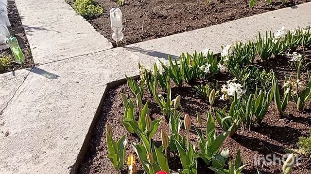 Утро субботы.Погода отличная.