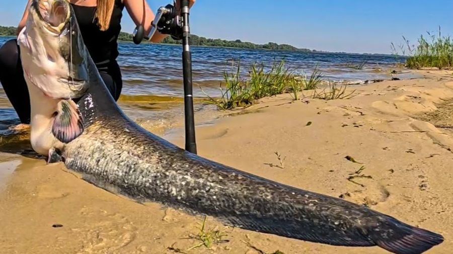 Нереально Крутая Зимняя Рыбалка 2026 Поймали Сома в Самом Неожиданном и Секретном Месте Рыбалка 2026