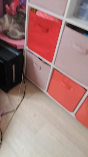 VID_20260411_130459.mp4