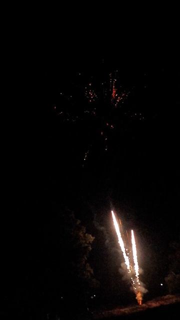 ASB112_Корги_36 х 0,8_веер