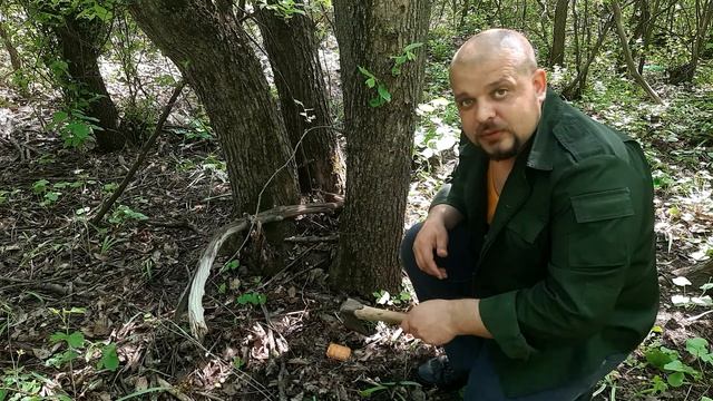 Старинный способ добычи еды в глухом лесу