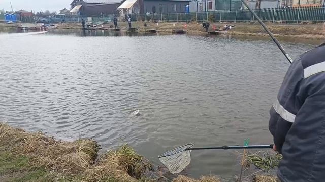 VID_20260411_102536_396