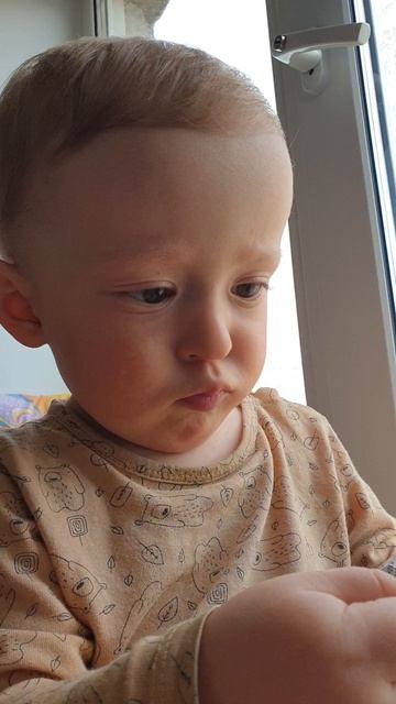 Рома анализирует чеки, 14:05, 11.04.2026