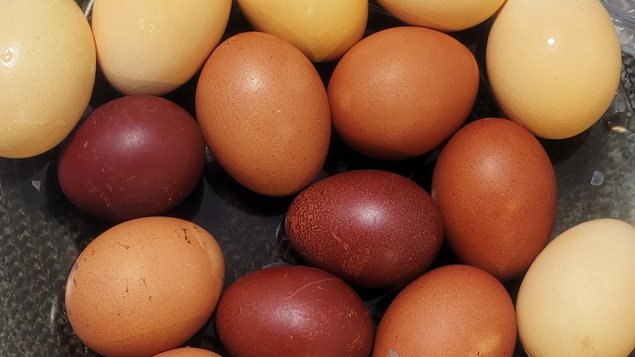 Как красить яйца #пасха #яйца #красимяйца (рецепт в описании)