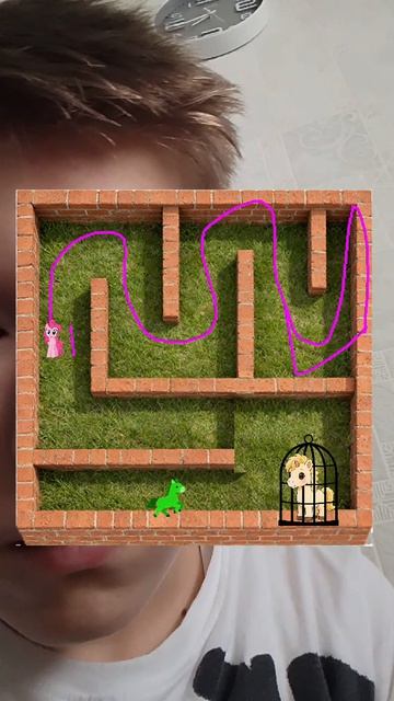 My Little Pony проходит дорогу