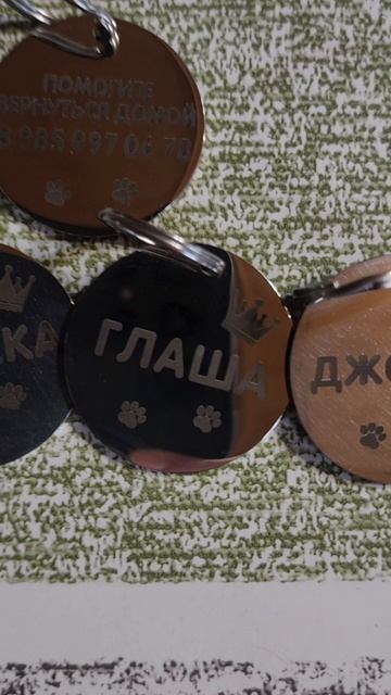 У каждой  собаки должен быть адресник!!!