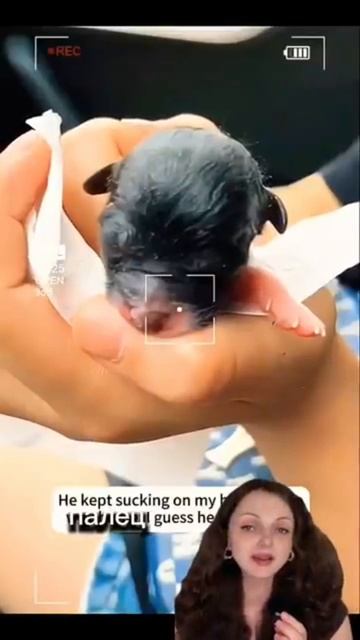 Она щенка бросила, а кошка выкормила. Он оказался священным.