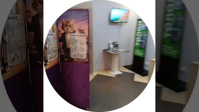 Пришёл в агентство недвижимости, что бы поиграть в игру 