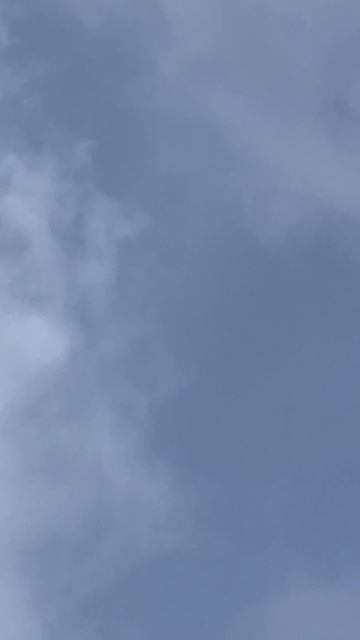 Весенний прилет птиц.