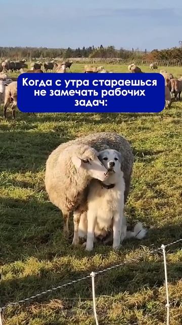 Вроде получается, продолжаем дальше#грузовик #офис #автомобилист #работа