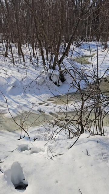 Прогулка в Барский лес