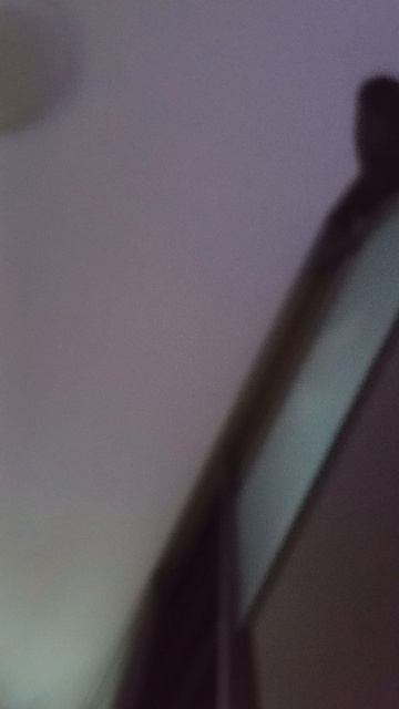 когда я на тусовке😂