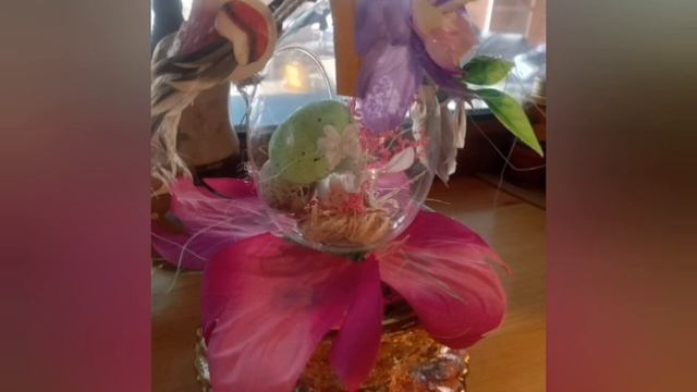 Кафе White Fox. Это наш город.