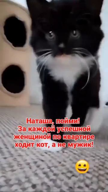 Автор видео: Galinav1812