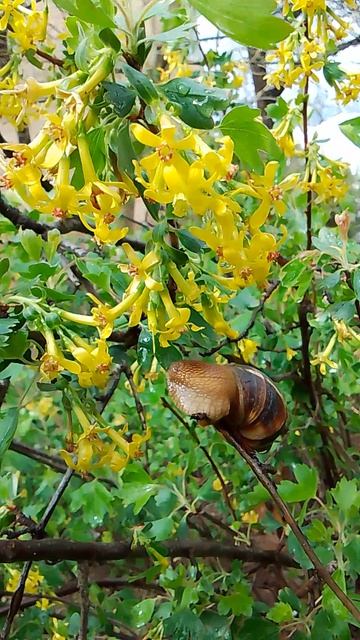 VID_20260411_093409.mp4