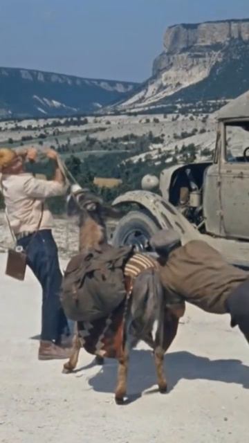 Будь проблем тот день когда я сел за баран ку этого пылесоса.