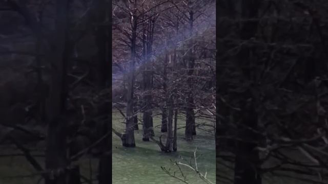 Что происходит когда переполняется Кипарисовое озеро Сукко. Репортаж Светланы Тихоновны от 12 Апреля