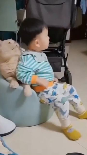 Коты и дети