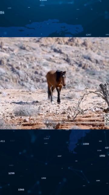 НАНОПЛАСТИК