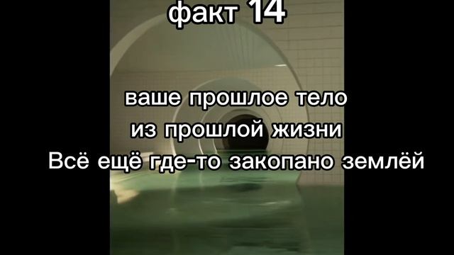 факт 14