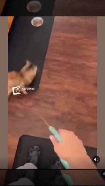 Пытается но не как