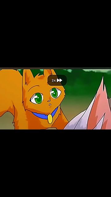 обработка видео котов воителей..