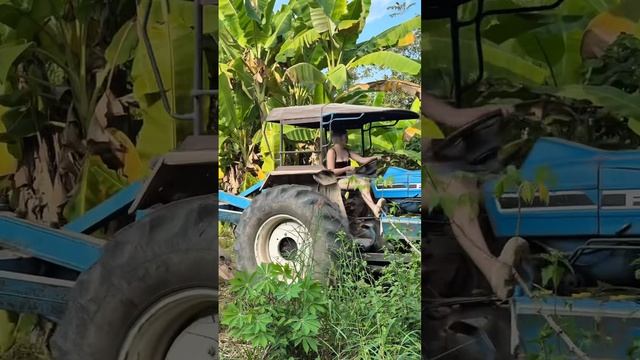 Освоение целины