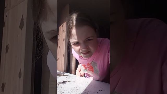 пришла от бабушки влог