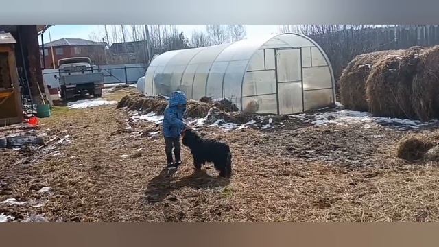 Всех с праздником  Светлой Пасхи/ Наши новости.Рассада томатов