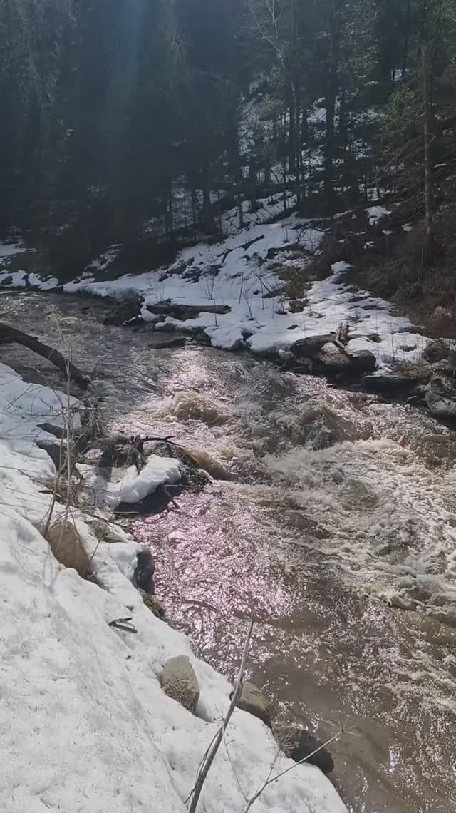 Двигаемся по маршруту на Лесную сказку #Алтай #Белокуриха #весна #природа #река