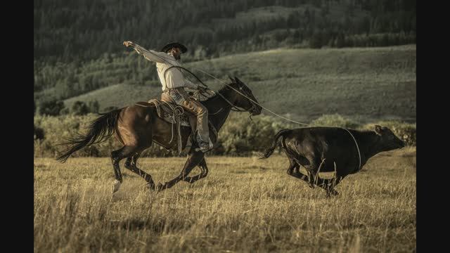 Знакомство с творчеством  Andy Mahr