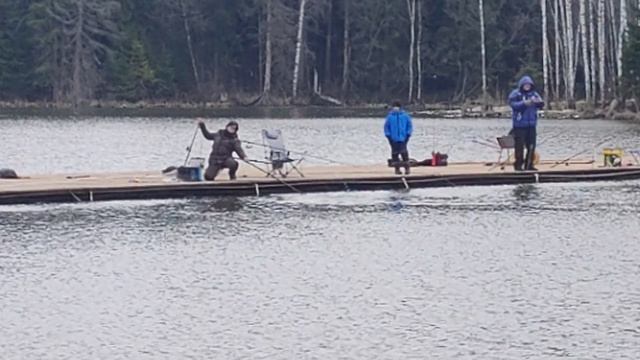 поимка форели