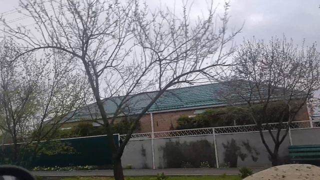 влог обо всём