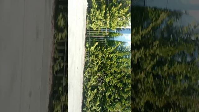 еду в гости к бабушке