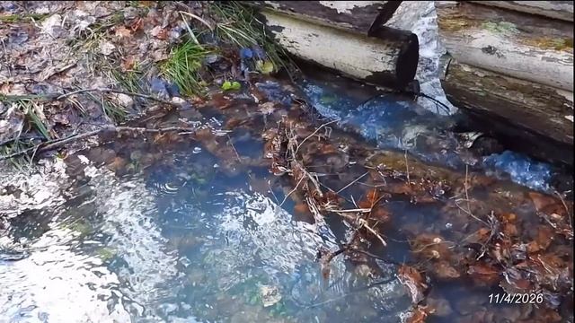 2026/4/11: Зареченский Родник