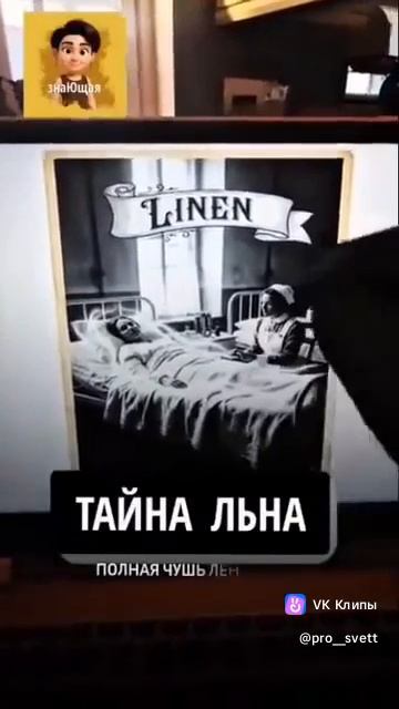 C924c510f83c561438421024eda99c48