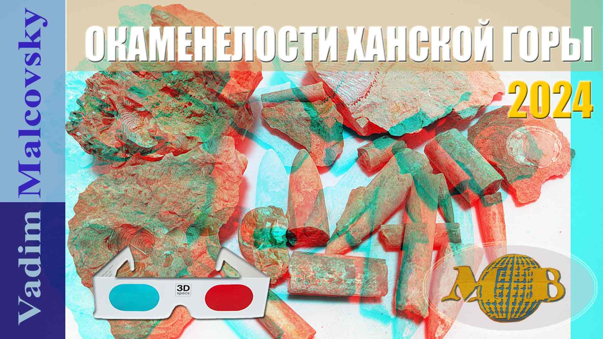 3D Stereo Red-cyan Окаменелости Ханской горы. Белемниты или чёртовы пальцы. Мальковский Вадим