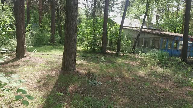 Альтаир. Липецк. История. Июнь 2025 г.