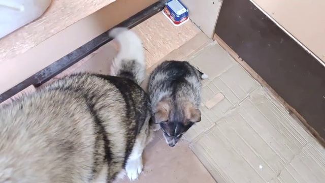 Счастливая семейка.