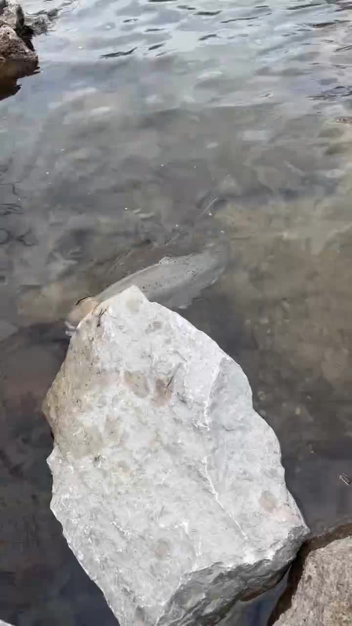 Тут съёмка зaпрещена 😅