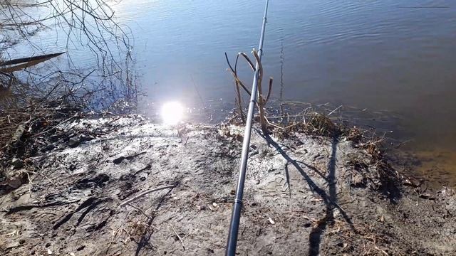 НА РЕКЕ РЫБА КЛЮЕТ. ПОЙМАЛ ЧЕБАЧКА И СОРОЖКУ