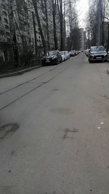 Дворы у пр. Большевиков