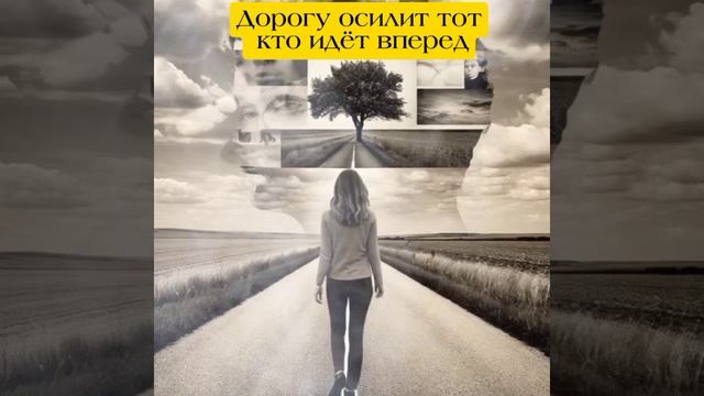 Fdfbb459fa39424468bc986b70200889