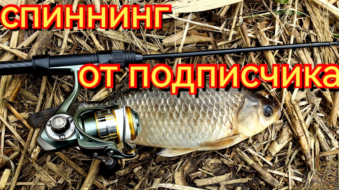 Мормышинг.Спиннинг от подписчика.Капризный карась.