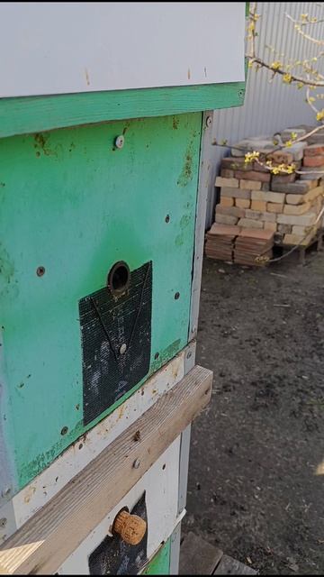 Погода не очень.