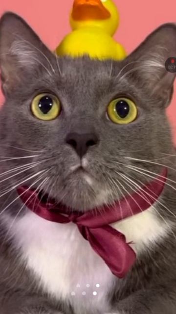 знакомство с Димой