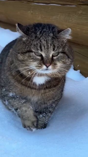 А вы знали?.. 12-04-2026