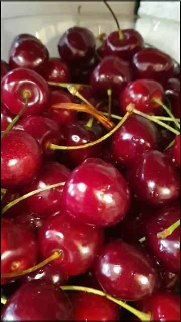 Клиентские дни бренда Ladoleay