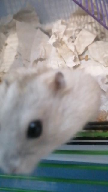 Давайте знакомится